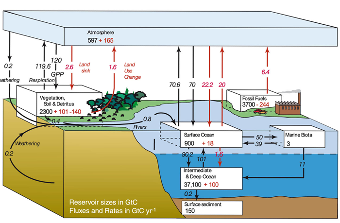 Image image(7)